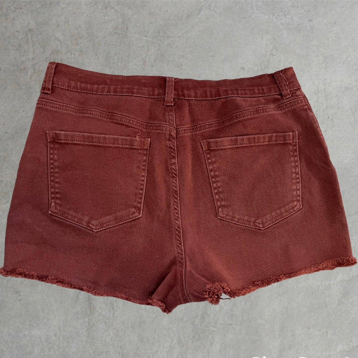 Burnt Orange Gloria Vanderbilt | W: 33 in
