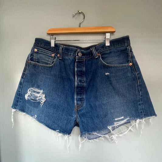Medium Wash Distressed Levi's | Waist 37
