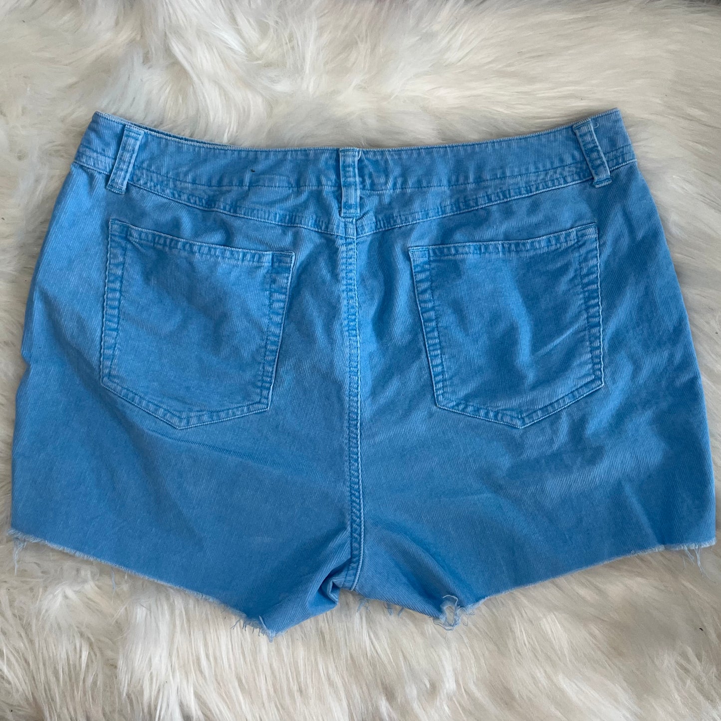 Bright Blue Vintage Corduroy Shorts w/ Matching Scrunchie | W: 34 in
