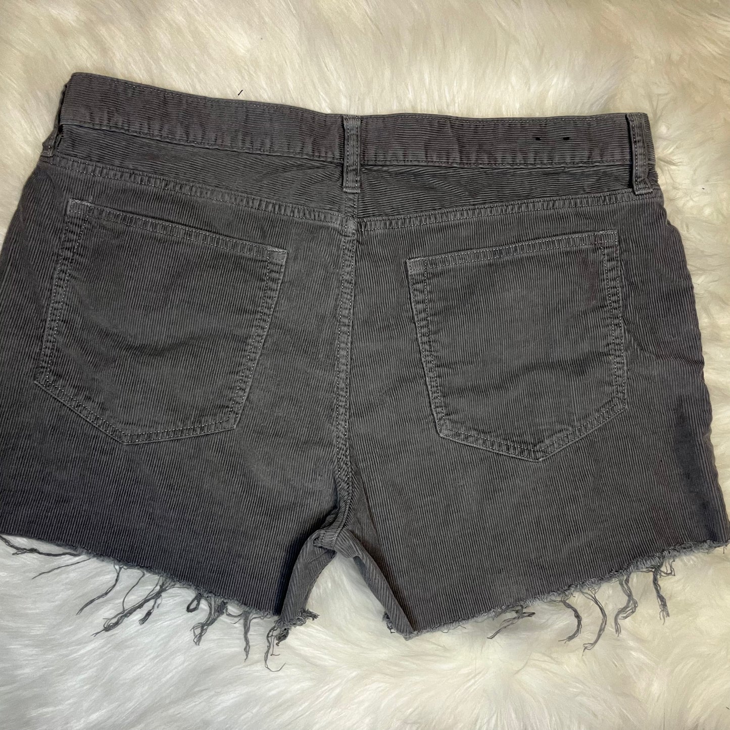 Light Gray Corduroy J Crew Shorts w/ Matching Scrunchie | W: 37 in