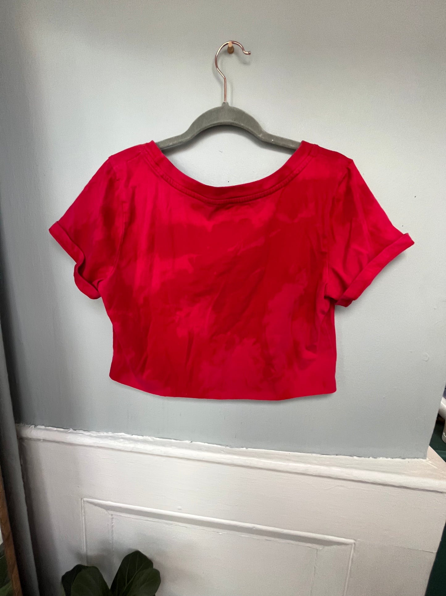 Cropped + Lightly Bleached Tee Live Sustainably Tee | Women's L