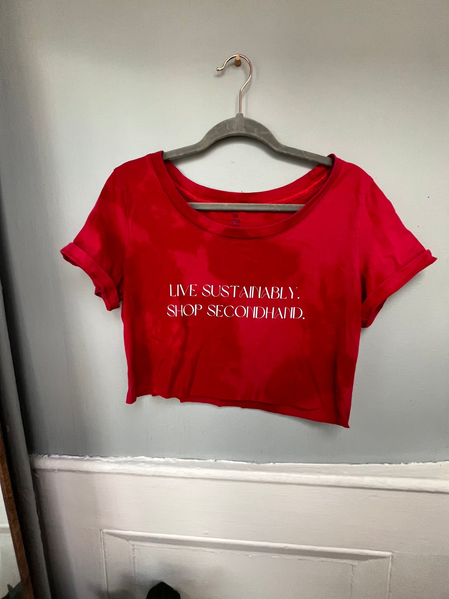 Cropped + Lightly Bleached Tee Live Sustainably Tee | Women's L